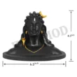 Adiyogi 4