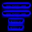 Tata Punch LED Sill Plate