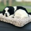 Sleeping Dog Decorative Showpiece Sleeping Dog Decorative Showpiece