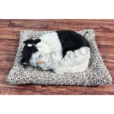 Black White Sleeping Cat Showpiece Premium Kitty Decorative Toy for Car & Table Decor, 26 cm