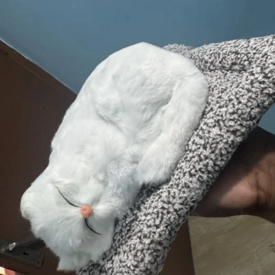White Sleeping Cat Showpiece Premium Kitty Decorative Toy for Car & Table Dashboard, 26 cm