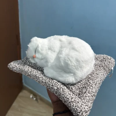White Sleeping Cat Showpiece Premium Kitty Decorative Toy for Car & Table Dashboard, 26 cm
