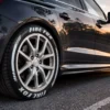 Fire Fox Tyre Sticker